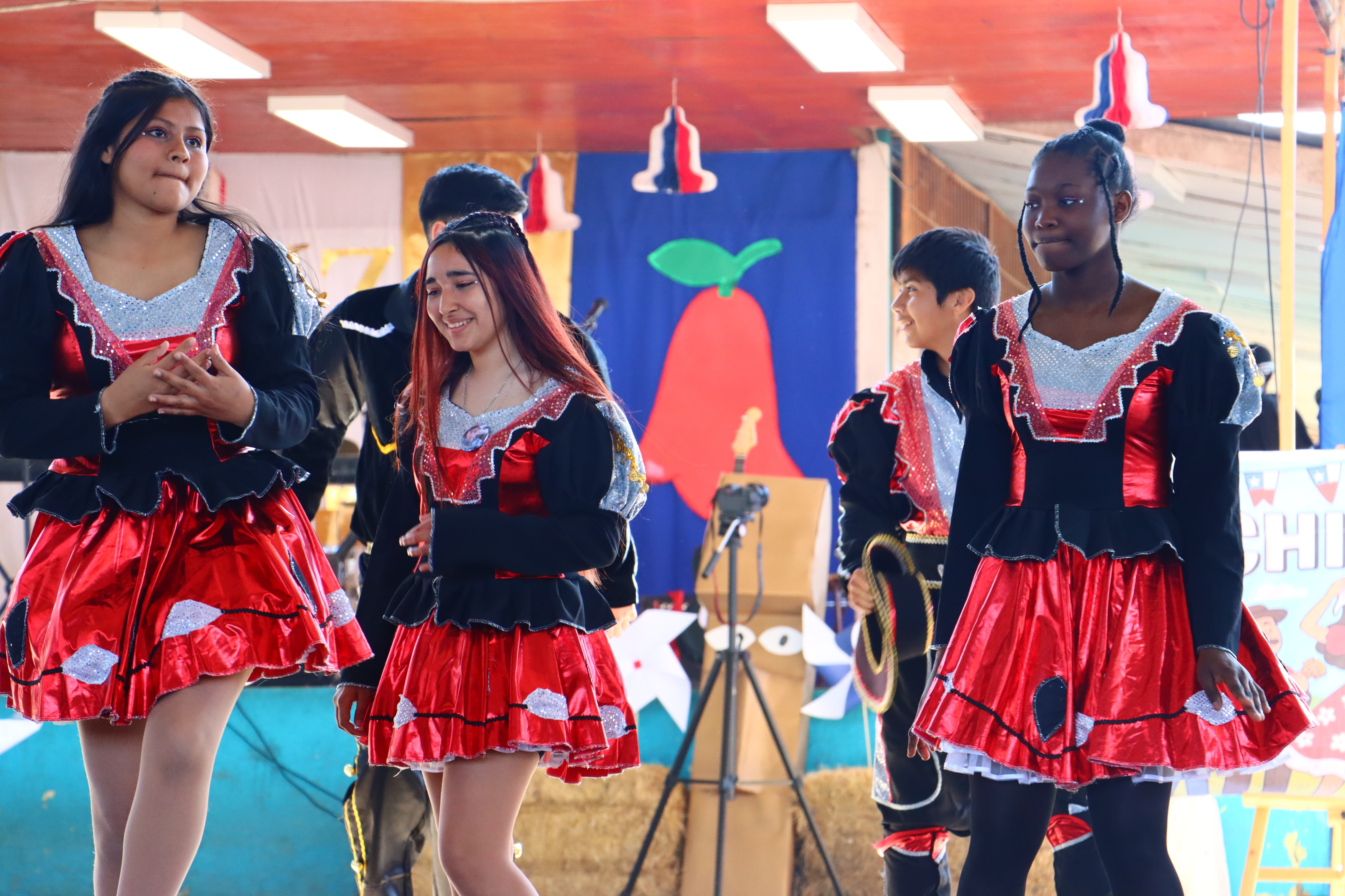 Día de la Chilenidad 8